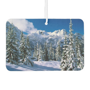Ambientador Nieve Air Freshener-Alpine