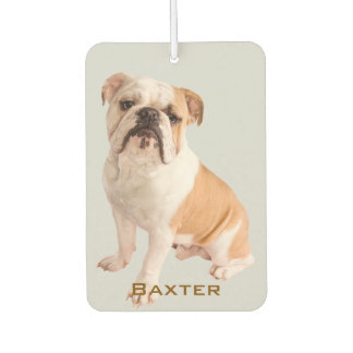Ambientador Nombre de la foto del Mascota del personalizado