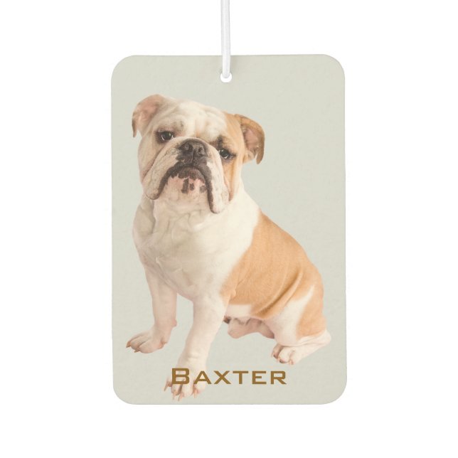 Ambientador Nombre de la foto del Mascota del personalizado (Anverso)