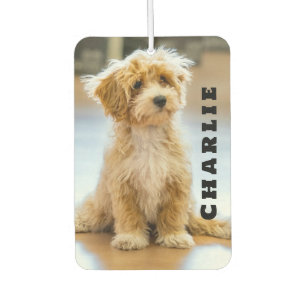 Ambientador Nombre personalizado Foto Perro Amante de las Masc