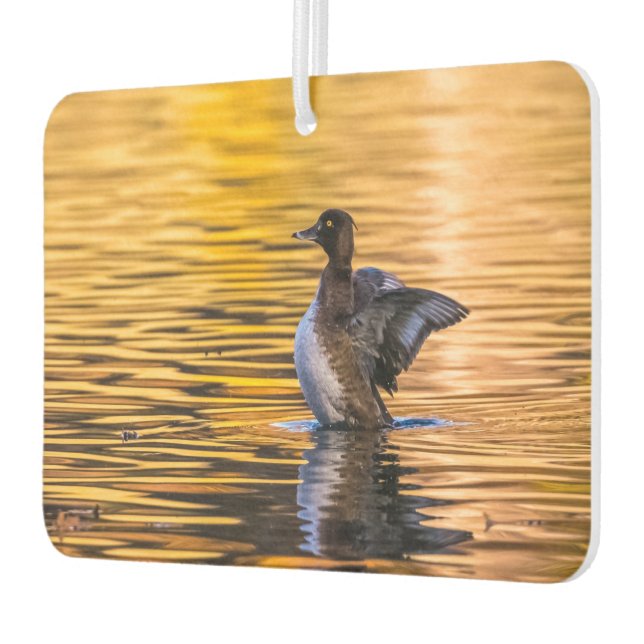 Ambientador Ojo dorado en un lago dorado (Izquierda)