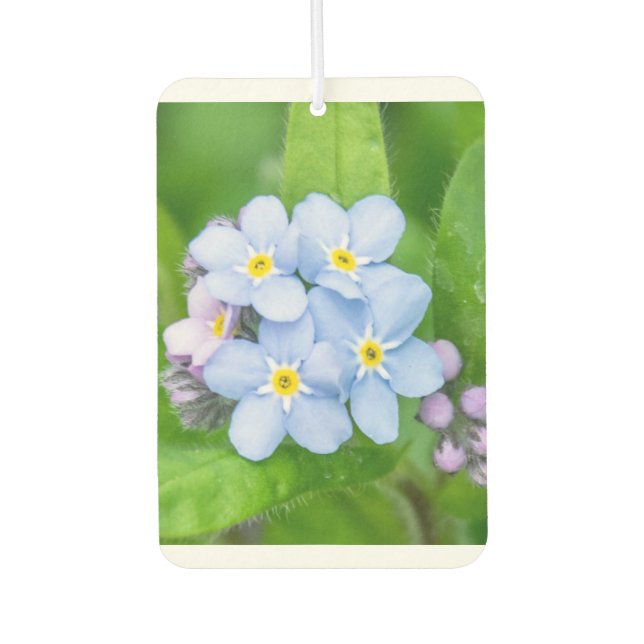 Ambientador Olvídenme (Anverso)