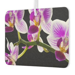 Ambientador Orquídea blanca y púrpura