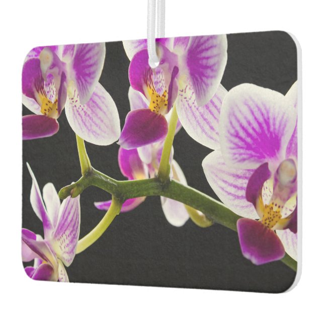 Ambientador Orquídea blanca y púrpura (Izquierda)