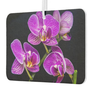 Ambientador Orquídea púrpura