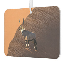 Ambientador Oryx al borde, Namibia