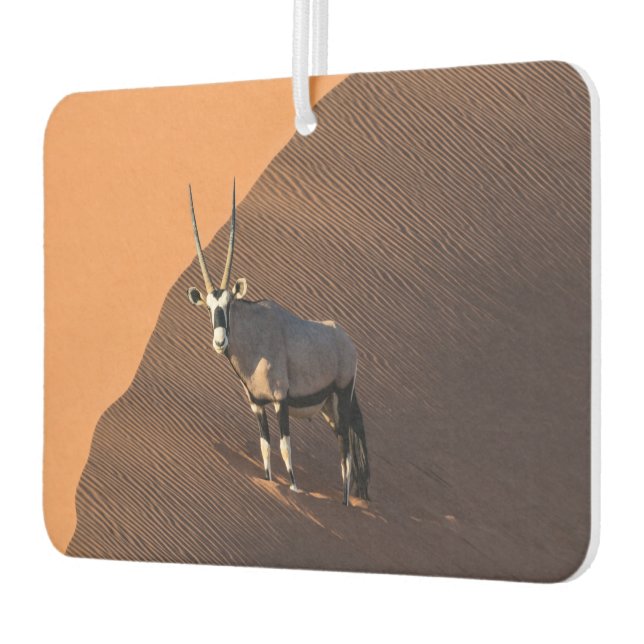 Ambientador Oryx al borde, Namibia (Izquierda)