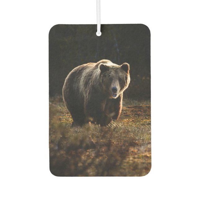 Ambientador Oso (Anverso)
