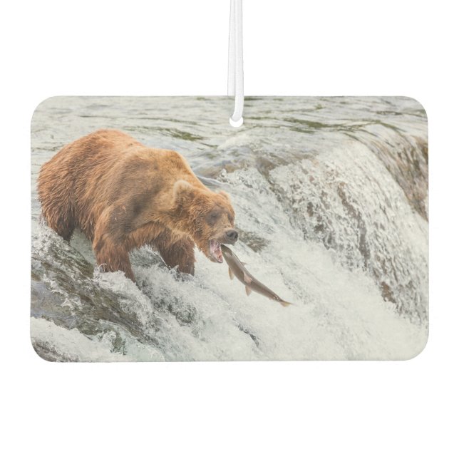 Ambientador Oso pardo atrapa salmón rojo (Anverso)