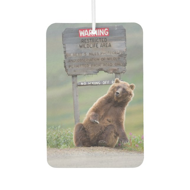 Ambientador Oso Pardo Juega Con Señal (Anverso)