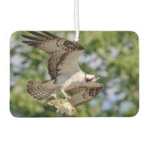 Osprey con una gran boquilla