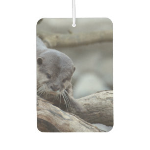Ambientador Otter Adorable