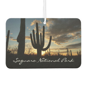 Ambientador Paisaje del desierto de Saguaro Sunset II Arizona