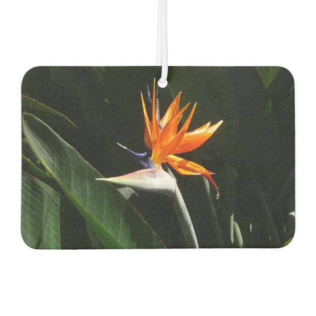 Ambientador Pájaro del Naranja del paraíso Flor tropical (Anverso)
