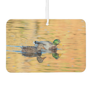 Ambientador Pareja de Mallards