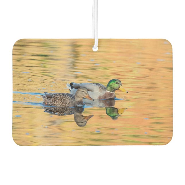 Ambientador Pareja de Mallards (Anverso)