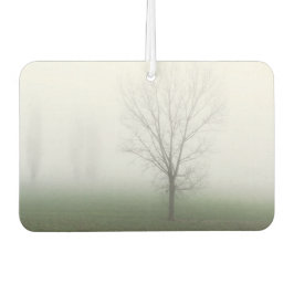 Ambientador Parque cubierto de espesa niebla