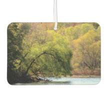 Parque pantano de Turquía - Caída en NJ -