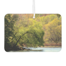 Ambientador Parque pantano de Turquía - Caída en NJ -