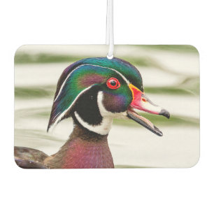 Ambientador Pato de madera