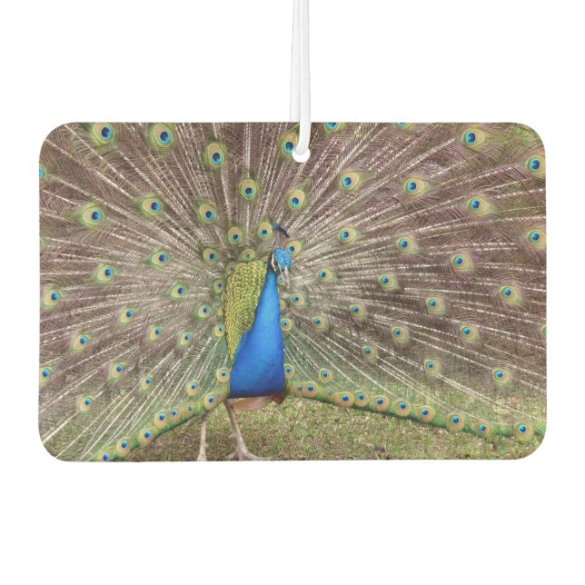 Ambientador Peacock Air Freshener (Anverso)