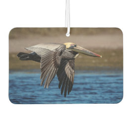 Ambientador Pelícano en vuelo