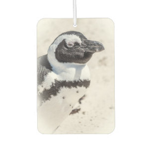 Ambientador Penguin Portrait Air Freshener