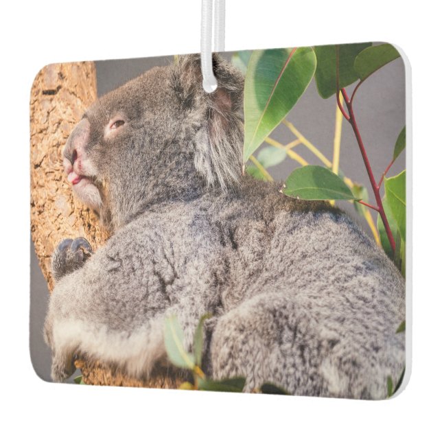 Ambientador Pequeña koala dulce (Izquierda)