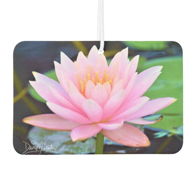 Ambientador Perfect Pink Beauty (Anverso)