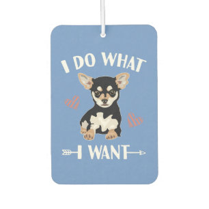 Ambientador perro chihuahua hace lo que quiero papá