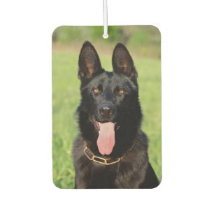 Ambientador Perro Pastor Alemán Negro - Cachorro GSD