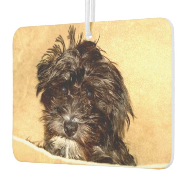 Ambientador Perro Schoodle (Izquierda)