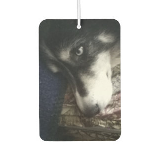 Ambientador Perro somnoliento