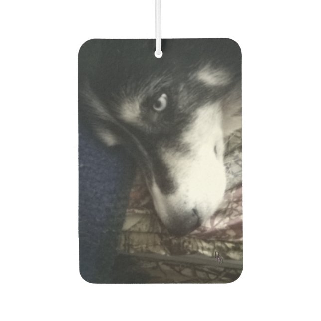 Ambientador Perro somnoliento (Anverso)