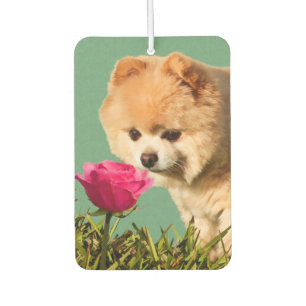Ambientador Perro y Rosa de Pomerania