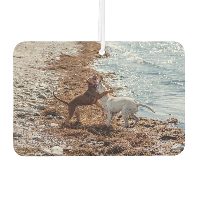 Ambientador Perros en la playa (Anverso)