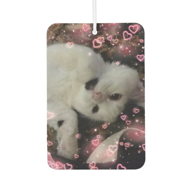 Ambientador Personalizado Cat Photo Car Air Freshener (Anverso)