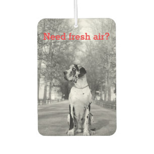 Ambientador personalizado de fotografía de perro