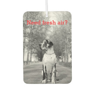 Ambientador personalizado de fotografía de perro