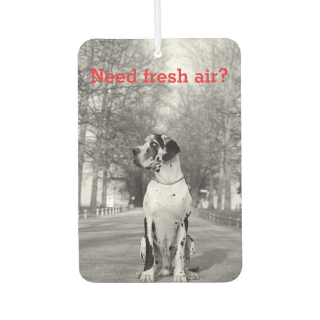 Ambientador personalizado de fotografía de perro (Anverso)