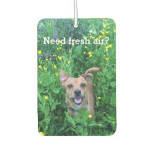 Ambientador personalizado de fotografía de perro