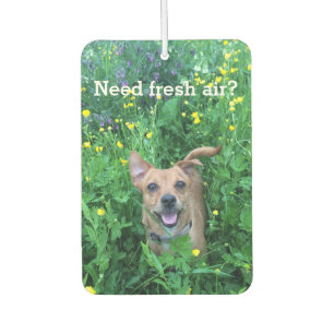 Ambientador personalizado de fotografía de perro
