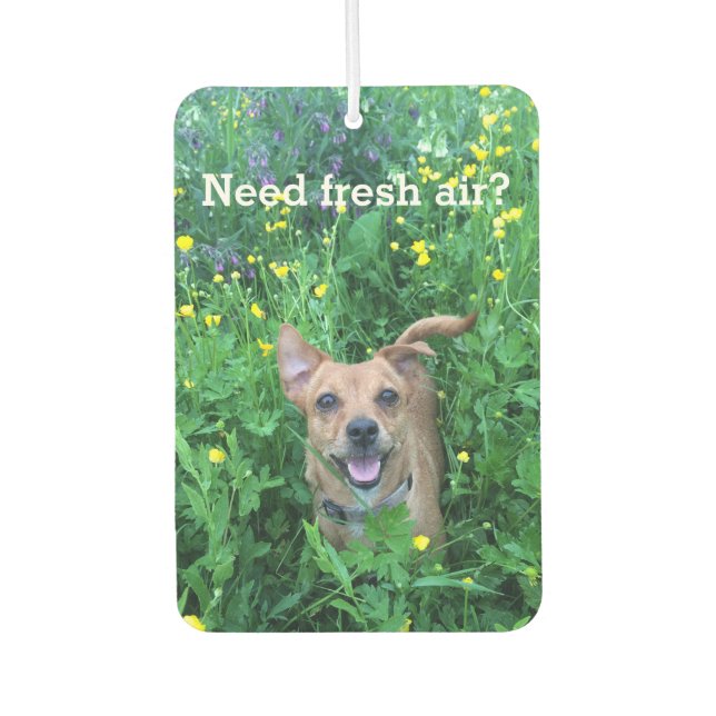 Ambientador personalizado de fotografía de perro (Anverso)