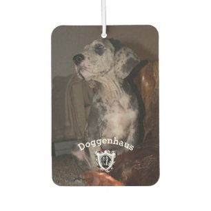 Ambientador personalizado de fotografía de perro