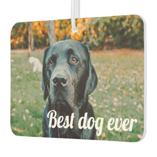 Ambientador Personalizado de fotos y texto personalizado