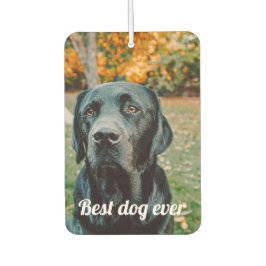 Ambientador Personalizado de fotos y texto personalizado