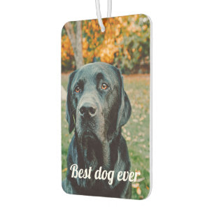 Ambientador Personalizado de fotos y texto personalizado