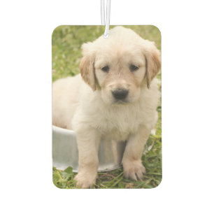 Ambientador Personalizado Foto Air Freshener - Amo a los Masco