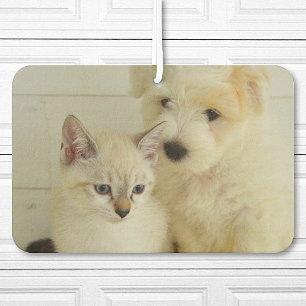 Ambientador Personalizado Mascota Foto Coche