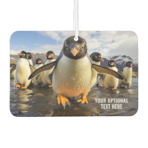 Ambientador Personalizado Texto Guay Pingüinos
